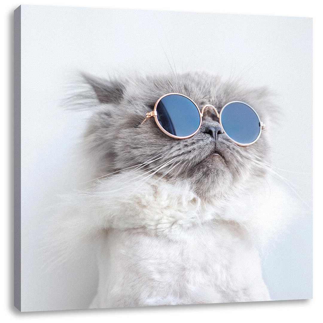 Leinwandbild Coole Katze mit runder Sonnenbrille