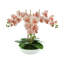 Orchids Arranged in Fiberstone Planter-272626195