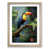 Oak Framed selected