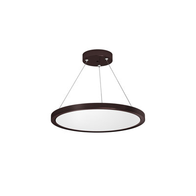 1 - Light LED Unique/Statement Pendant