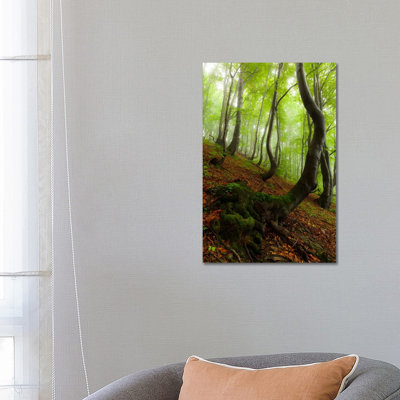 Poland, Bieszczady National Park I by Mikolaj Gospodarek - Wrapped Canvas Print