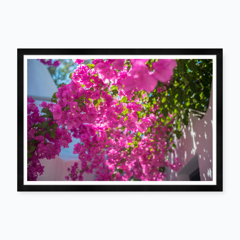 Passerelle de Bougainvillée