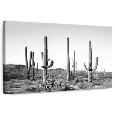 Gray Cactus Land