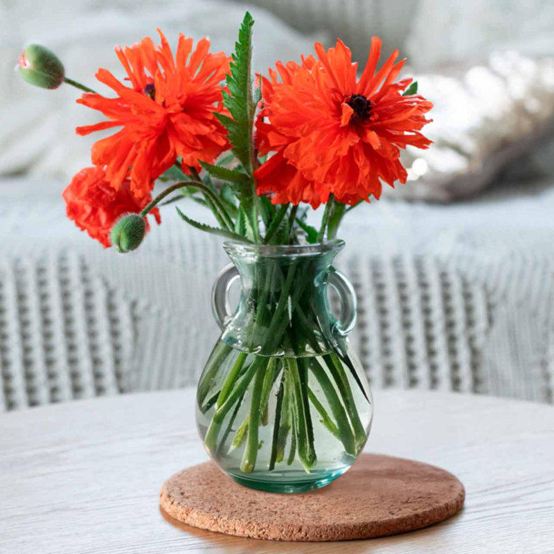 Petit vase en verre de style champêtre français, 6,25 po, capacité de 25 oz, H 6 po x l 4,75 po x P 3 po