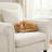 Upholstered Accent Armchair with Pillow-1615855916