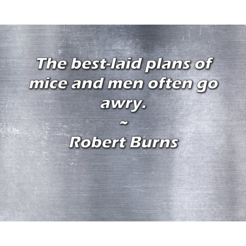 Toile tendue de la galerie Trinx par Robert Burns: «Les meilleurs plans de souris et d’hommes vont souvent, H 13 po x l 18 po