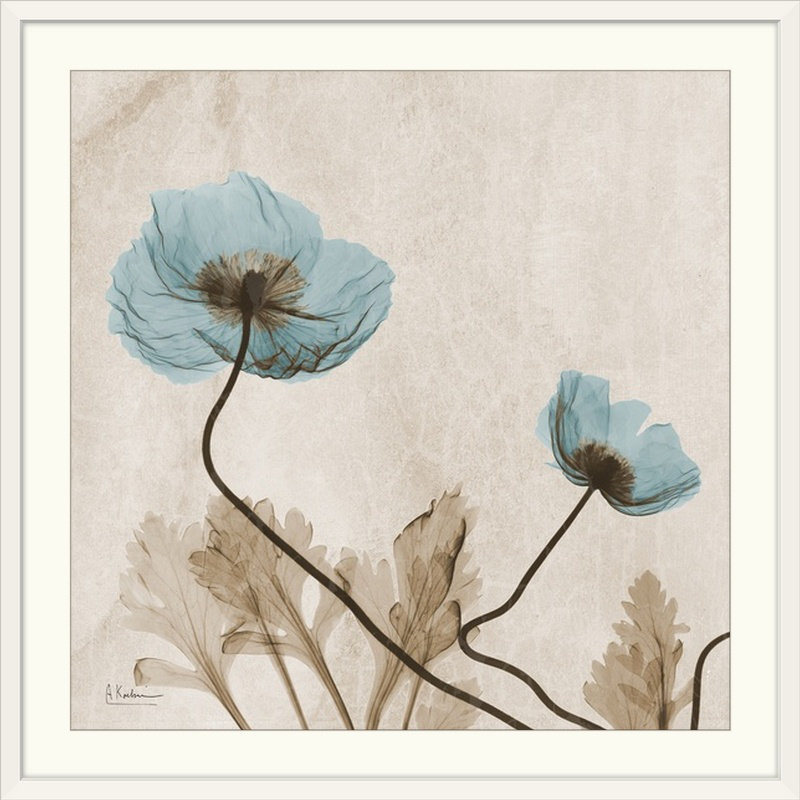 "Poppy X-Ray" de Manigault par Kiranjit, reproduction de photo, H 20" x l 20" x P 1", Cadre blanc