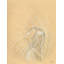 Bellamy Phyllis Harris - Print on Canvas-20133535