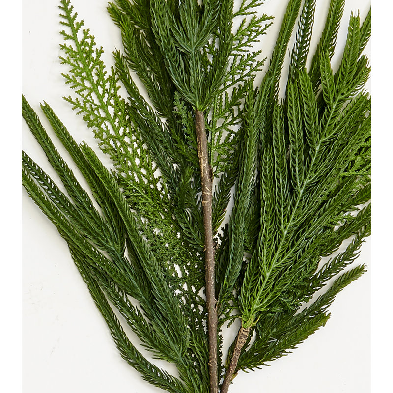 Vaporisateur de sapin de Noël