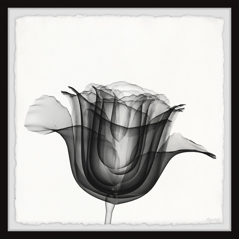 Vision Is Everything by Marmont Hill - Single Picture Frame Painting, 61cm H x 61cm W