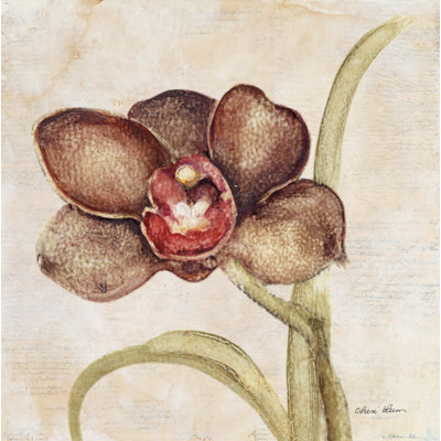 Orchid V by Cheri Blum