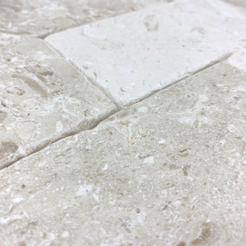 3" x 6" Subway Tile in Fossil Stone