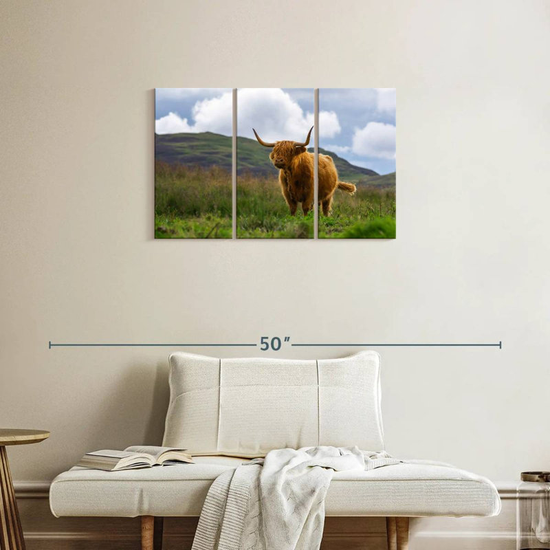 Brampt Highland Cow, Écosse, H 20 po x l 33 po