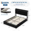 Structure de grand lit avec rangement relevable, lit tapissier en velours avec tête de lit, lit plateforme en métal, support hydraulique, aucun sommier tapissier requis, noir-916604086-916604081