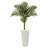 54'' Faux Palm Tree in Clay Planter