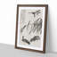 The Geese by Bian Shoumin - Picture Frame Painting Print-55640072-55640073
