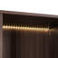 Vitrine lumineuse de 51,2 po de hauteur avec porte en verre trempé, vitrine à DEL en métal, style minimaliste moderne, pour le salon, le bureau et le bureau