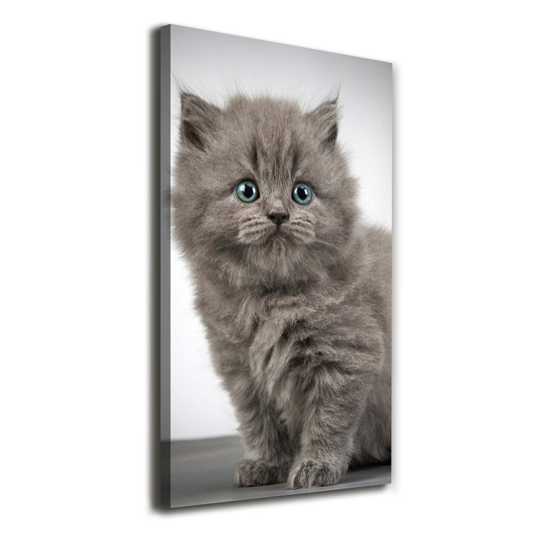 Graue britische Katze - Kunstdrucke auf Leinwand - Wrapped Canvas