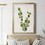 Botanical Wash III - Impression de cadre photo sur papier-1989108929-1989108943
