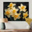 Jaune et noir, trompette d'espoir, jonquilles - jonquilles-441402938-336040324