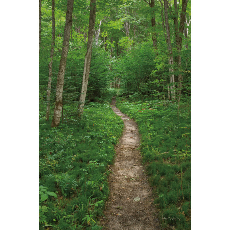 North Country Trail, H 12 po x l 8 po