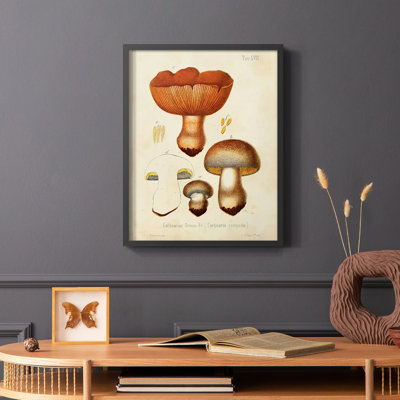 Champignon Variétés I, reproduction encadrée - bois massif