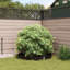 Root Barrier Black HDPE-182130486