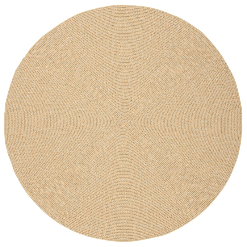 Tapis d'intérieur / extérieur tissé à la main tressé à la main, Rond 8 pi