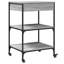 Dwyce Metal Bar Cart-1602415009