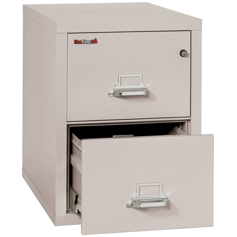Classeur vertical ignifuge à 2 tiroirs, Platine, Serrure à clé, l 17,69 po