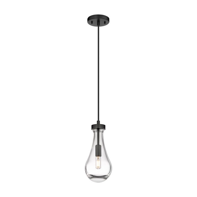 Luminaire suspendu à 1 lumière Owego, Clair, Noir mat, H 12,13 po x l 5,13 po x P 5,13 po