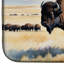 Tapis de séchage Prairie Bison