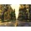 Long Road - Paysages, reproduction encadrée-1295556540