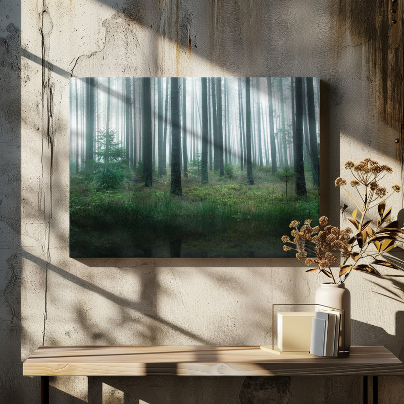 Wrapped Canvas Print, 50.8 cm H x 76.2 cm W