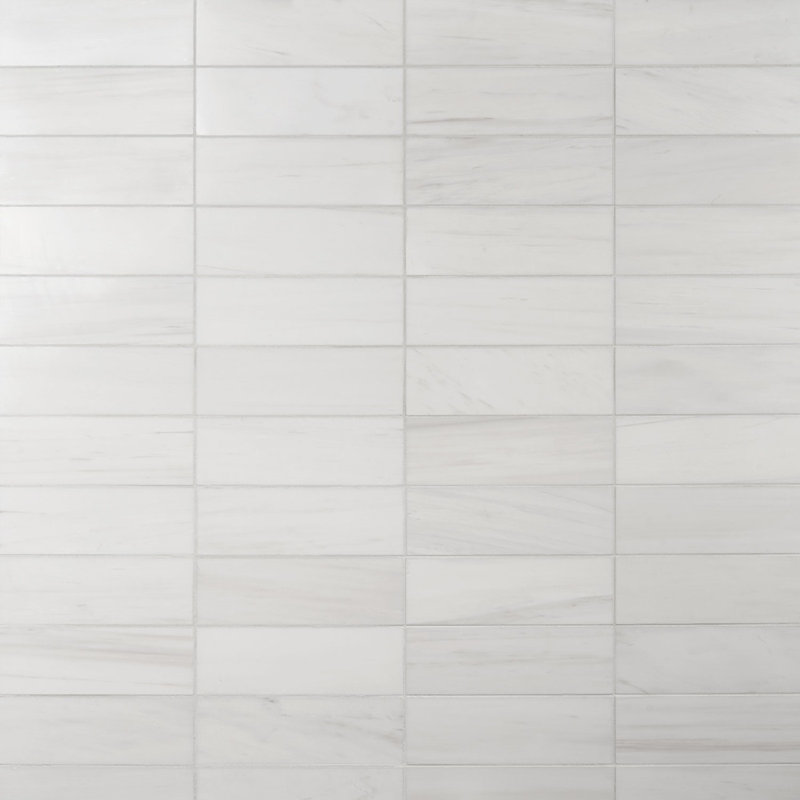 Carrelage de métro en marbre 4 po x 12 po Bianco Dolomite