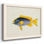 Collection de poissons tropicaux - Toile tendue avec châssis rustique - 2778376-96279507-96279513