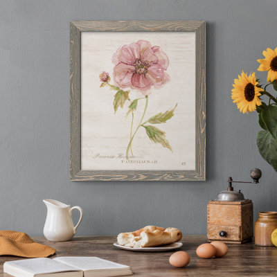 " Soft Peony " Painting Print