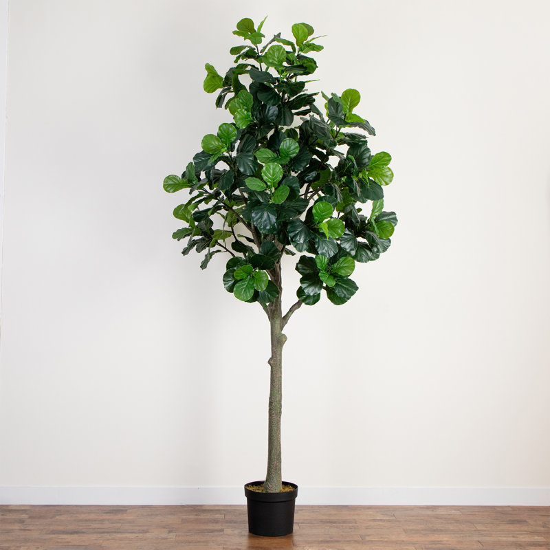 12 pi Arbre à violon artificiel