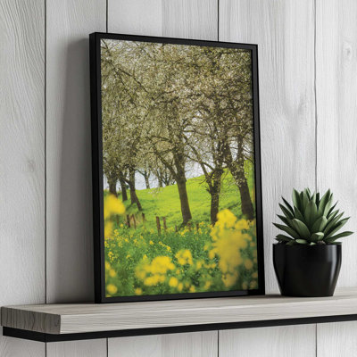 Spring in Bloom by Martin Podt Art Print