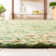 Demartini Handwoven Green Area Rug