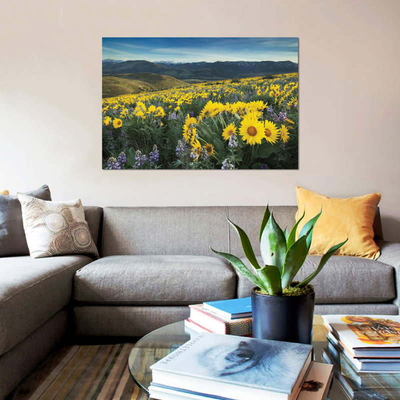«Metow Valley Wildflowers IV» par Alan Majchrowicz, reproduction sur toile tendue sur châssis, H 18 po x l 26 po x P 1,5 po