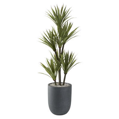 Yucca 48 po avec pot rond