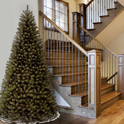 North Valley Spruce Tree