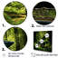 «Piano Forest Serenade II», reproduction sur toile-97037459-136039353