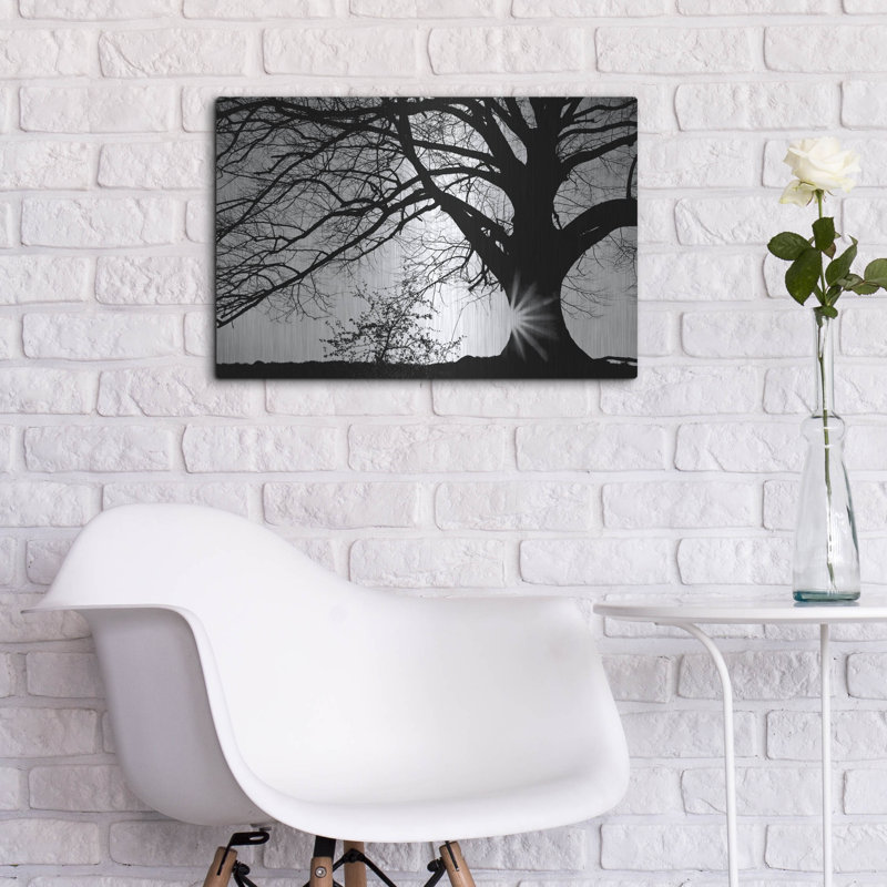 Winston Porter «Oak Silhouette» par Photoinc Studio, art mural en métal, 24 po x 16 po, H 12 po x l 16 po
