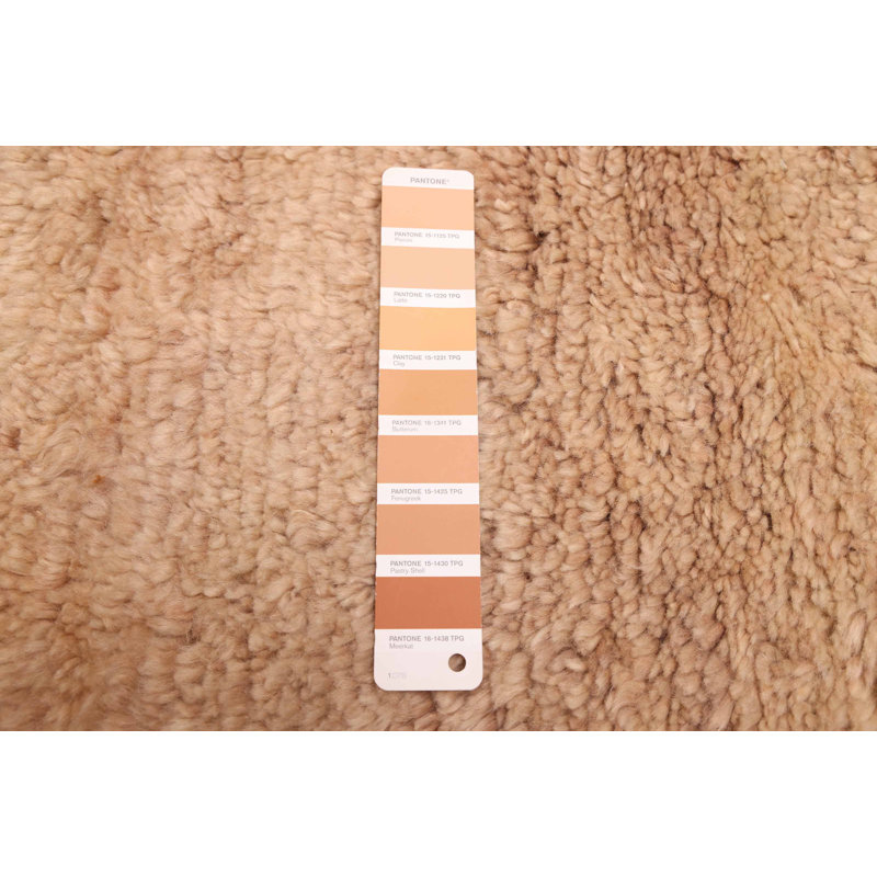 Tapis brun clair Pak Finest 10 pi 5 po x 13 pi 5 po