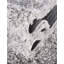 Tapis Frost Desandro-1123272522