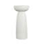 Support pour plante Maxim Magnesium Oxide