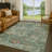 Machine Washable Indoor/Outdoor Chantille ACN2429 Traditional Rug-1890140954-1890141165