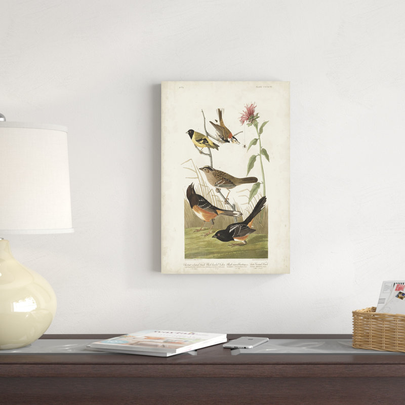 Pl 394 Finch couleur châtaignier, H 18 po x l 12 po